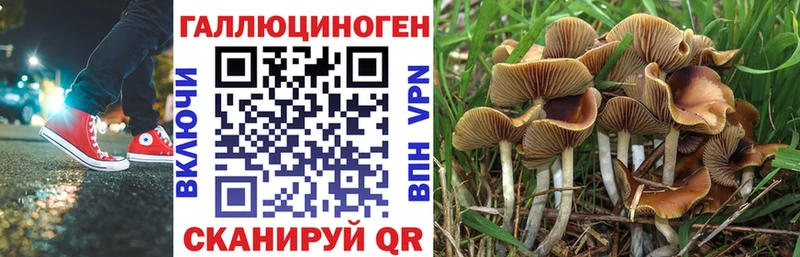 Псилоцибиновые грибы прущие грибы  MEGA как войти  Новопавловск  магазин продажи наркотиков 